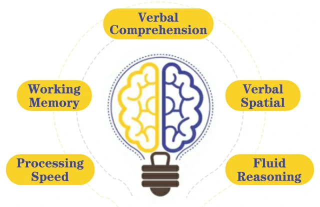 Discover Your Cognitive Abilities